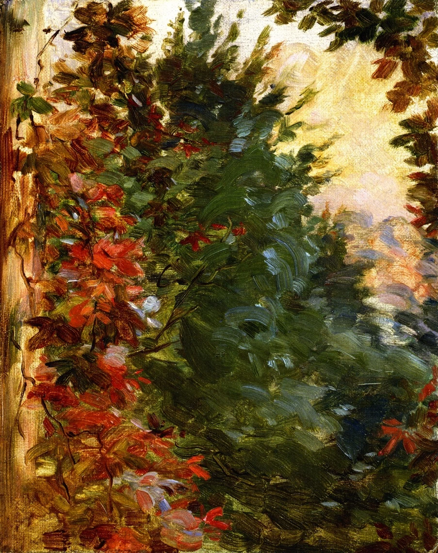 Vista del giardino